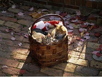 《地下城与勇士 决斗》“战斗法师”预告影片 预计12月上线